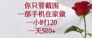 你只管截图,一部手机在家可以做,一小时120.一天5张+【揭秘】-虚拟资源库