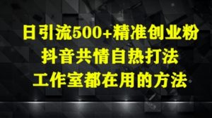 日引流500+精准创业粉,抖音共情自热打法,工作室都在用的方法-虚拟资源库