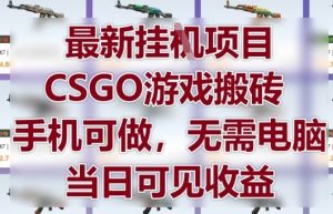 最新挂G项目,CSGO游戏搬砖,手机可做,无需电脑,当日见收益【揭秘】-虚拟资源库