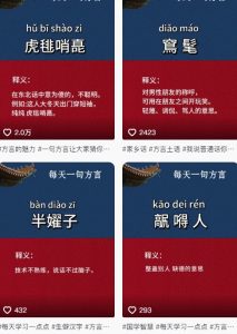 抖音最新涨粉玩法,图文方言暴力涨粉实操,126作品涨粉11W-虚拟资源库