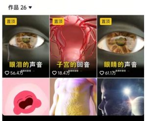 抖音坚果3D动画科普项目,撸视频号分成和抖音伙伴计划,适合零基础小白-虚拟资源库