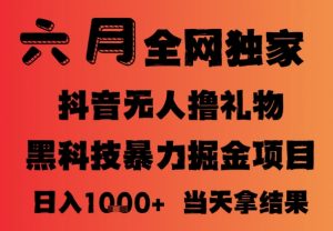 25年6月抖音无人直播最新暴力撸音浪掘金,小白可做,可批量矩阵放大,长期稳定日入1k+【揭秘】-虚拟资源库