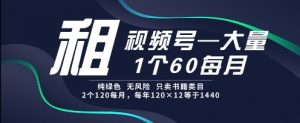 租视频号,一个60每月,2个120.纯绿色、无风险,常年租【揭秘】-虚拟资源库