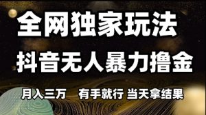 全网独家玩法抖音无人暴力撸金,月入3W,有手就行,当天拿结果【揭秘】-虚拟资源库