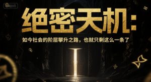 付费文章:绝密天机:如今社会的阶层攀升之路,也就只剩这么一条了-虚拟资源库