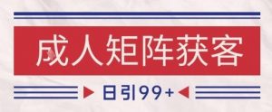 小红书某音橙人赛道引流获客,自热矩阵日引200+【揭秘】-虚拟资源库