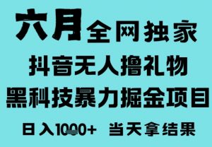 25年6月高爆抖音无人直播最新撸音浪掘金项目,门槛低小白可做,无脑日入1k,可矩阵放大【揭秘】-虚拟资源库