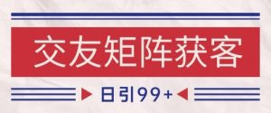 小红书某音交友赛道引流获客 自热矩阵日引200+【揭秘】-虚拟资源库