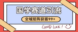 小红书某音国学赛道引流获客 自热矩阵日引200+【揭秘】-虚拟资源库