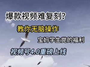 视频号4.0重磅上线，爆款视频难复刻？教你无脑操作宝妈学生党的福利【揭秘】-虚拟资源库