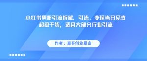 小红书男粉引流拆解，引流、变现当日见效超级干货，适用大部分行业引流-虚拟资源库
