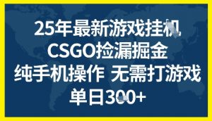 25年CSGO游戏搬砖，全自动挂G，不需要玩游戏，手机操作日入3张+【揭秘】-虚拟资源库
