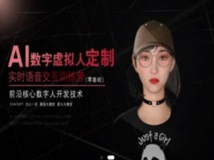 AI数字虚拟人定制,实时语音交互训练营(零基础),前沿核心数字人开发技术-虚拟资源库