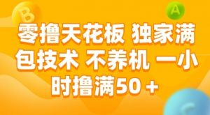 零撸天花板,独家满包技术 不养机 一小时撸满50+【揭秘】-虚拟资源库