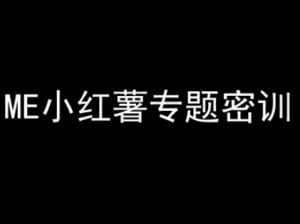 ME小红薯专题密训-小红书电商教程-虚拟资源库