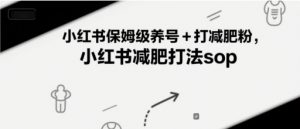 小红书保姆级养号+打减肥粉,小红书减肥打法sop-虚拟资源库
