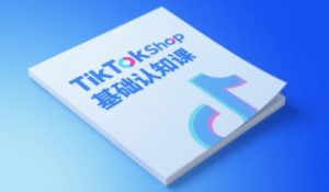 TikTok小店基础认知课,助力学员从 0 到 1 掌握 TikTok 电商运营全链路认知-虚拟资源库