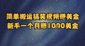 简单搬运搞笑视频挣美金,新手一个月入1k美金-虚拟资源库