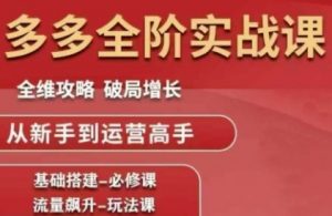 拼多多全阶实战课程,全维攻略,破局增长,从新手到运营高手-虚拟资源库