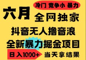25年6月高爆抖音无人直播最新撸音浪掘金项目,小白可做,无脑日入1k+,门槛低可批量矩阵【揭秘】-虚拟资源库