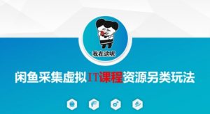 闲鱼采集虚拟IT课程资源另类玩法,干货满满-虚拟资源库