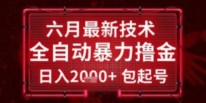 六月最新技术全自动暴力撸金,稳定日入2k+包起号,长期稳定【揭秘】-虚拟资源库