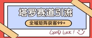 小红书某音塔罗赛道引流获客 自热矩阵日引200+【揭秘】-虚拟资源库