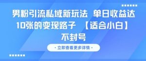 男粉引流私域新玩法，单日收益达10张的变现路子 【适合小白】不封号-虚拟资源库