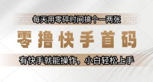 零撸快手首码，每天用零碎时间搞个一两张，有快手就能操作小白轻松上手【揭秘】-虚拟资源库