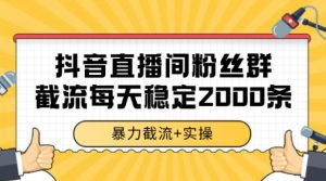 抖音直播间粉丝群暴力截流,一台电脑每天稳定2000条数据【揭秘】-虚拟资源库