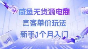 咸鱼无货源电商,高客单价玩法,新手1个月入门-虚拟资源库