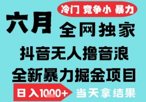 2025年6月高爆抖音无人直播最新撸音浪掘金项目，无脑日入1k+，低门槛小白可做，可矩阵放大【揭秘】-虚拟资源库