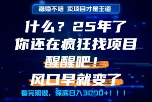 什么?25年你还在疯狂找项目做,醒醒吧,看完这些你全都懂了!【揭秘】-虚拟资源库