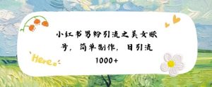小红书男粉引流项目之美女账号6，简单制作，条条爆款原创，不违规-虚拟资源库