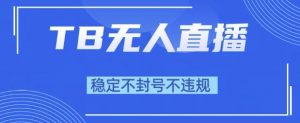 2025年TB无人直播带货10.0,全新技术,不违规,不封号,纯小白操作,日入1k【揭秘】-虚拟资源库