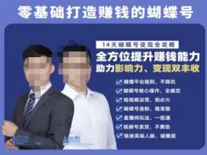 蝴蝶号专栏-视频号运营教程,零基础打造挣钱的蝴蝶号,14天蝴蝶号变现全攻略-虚拟资源库