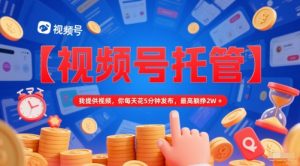 【视频号托管 】我提供视频,你每天花5分钟发布,最高躺挣2W+【揭秘】-虚拟资源库