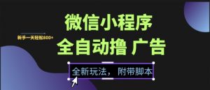 微信小程序全自动撸广告项目,彻底解决没流量的问题,新手一天8张+【揭秘】-虚拟资源库