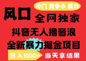 25年6月高爆抖音无人直播最新撸音浪掘金项目,解放双手小白可做,无脑日入1k+,门槛低【揭秘】-虚拟资源库