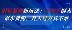 闲鱼暴利新玩法：零成本倒卖京东货源，月入过1W真不难-虚拟资源库