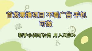 首发零撸项目 不看广告 手机可做 新手小白可以做 月入3k+【揭秘】-虚拟资源库