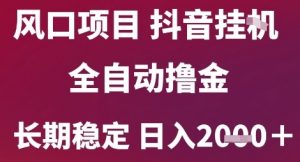 风口项目,六月最新玩法抖音无人挂G,全自动撸金,长期稳定 日入2k+【揭秘】-虚拟资源库