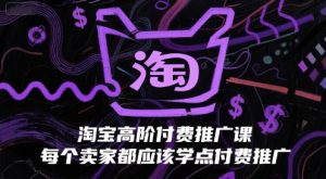 淘宝高阶付费推广课,每个卖家都应该学点付费推广-虚拟资源库