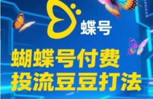 2025蝴蝶号付费投流豆豆打法,助新手快速掌握付费流量撬动自然流的核心玩法-虚拟资源库