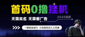 首码0撸挂G项目,无需实名无需看广告 一键启动运行,小白轻松日入三位数【揭秘】-虚拟资源库