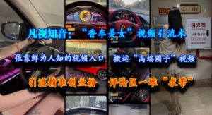 凡视知音：“香车美女”视频引流术，依靠鲜为人知的视频入口，搬运“高端圈子”视频，引流精准创业粉，评论区一堆“求带”-虚拟资源库