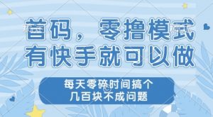 首码零撸项目，有快手就可以做，每天业务时间搞个几张不是问题【揭秘】-虚拟资源库