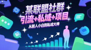 某联盟社群，引流+私域+项目，从新人小白到私域大神-虚拟资源库