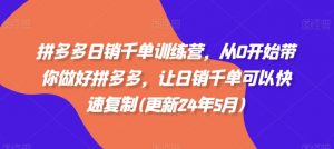 拼多多日销千单训练营,从0开始带你做好拼多多,让日销千单可以快速复制(更新25年6月)-虚拟资源库