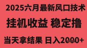 2025六月最新风口技术，无人挂G撸礼物，长期稳定 一个小时收益2k+，小白当天拿结果【揭秘】-虚拟资源库